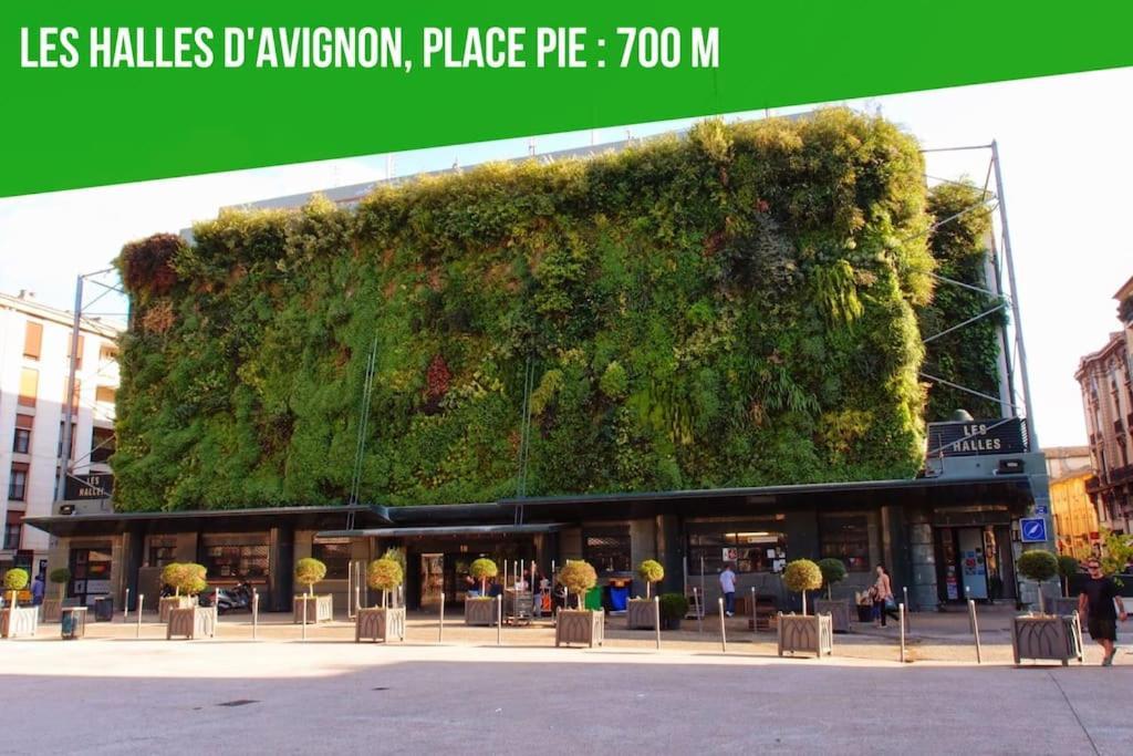 Aux Marches Du Palais - Ac Clim - Spacieux - Terrasse - Wifi Αβινιόν Εξωτερικό φωτογραφία